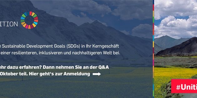 SDG Ambition Q&A