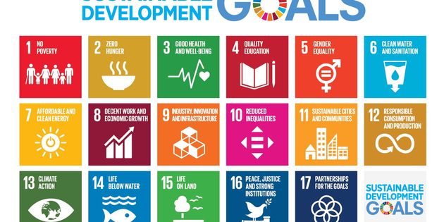 Webinar: Die Sustainable Development Goals (SDGs) in der Unternehmenspraxis
