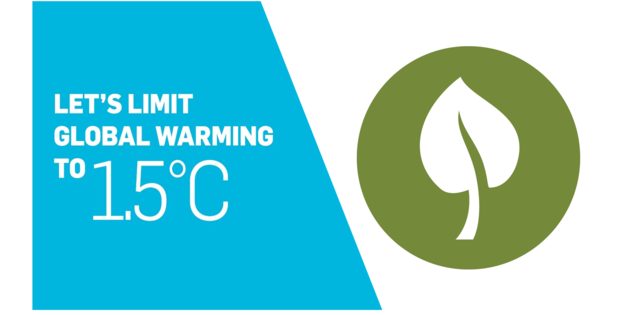 Webinar: 1,5°C - und deutlich unter 2°C-Klimastrategien