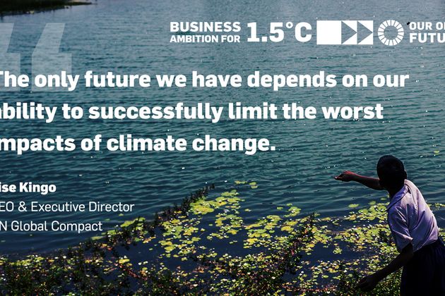 Executive Update: Unternehmerischer Klimaschutz für unsere Zukunft