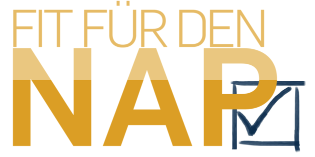 September 2020 - Januar 2021, Berlin | Trainingsprogramm: "FIT FÜR DEN NAP" - menschenrechtliche Sorgfalt verstehen und umsetzen 