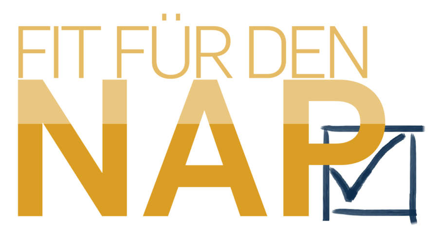 September 2020 - Januar 2021, Berlin | Trainingsprogramm: "FIT FÜR DEN NAP" - menschenrechtliche Sorgfalt verstehen und umsetzen 