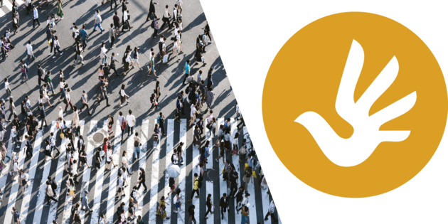 Einführungswebinar: Wirtschaft und Menschenrechte, NAP, nachhaltige Lieferketten – alles, was Sie wissen müssen
