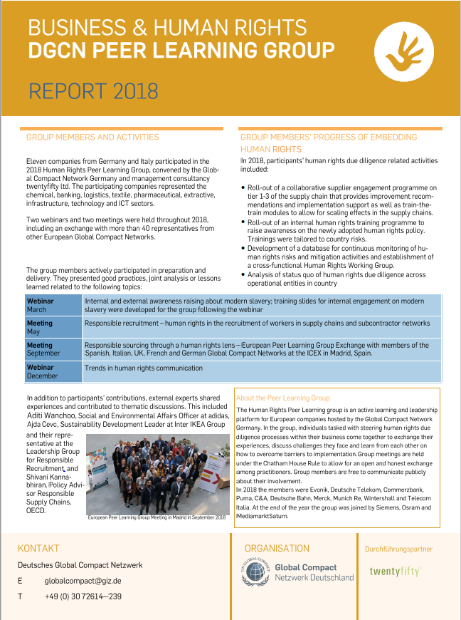 Human Rights Peer Learning Group Report 2018