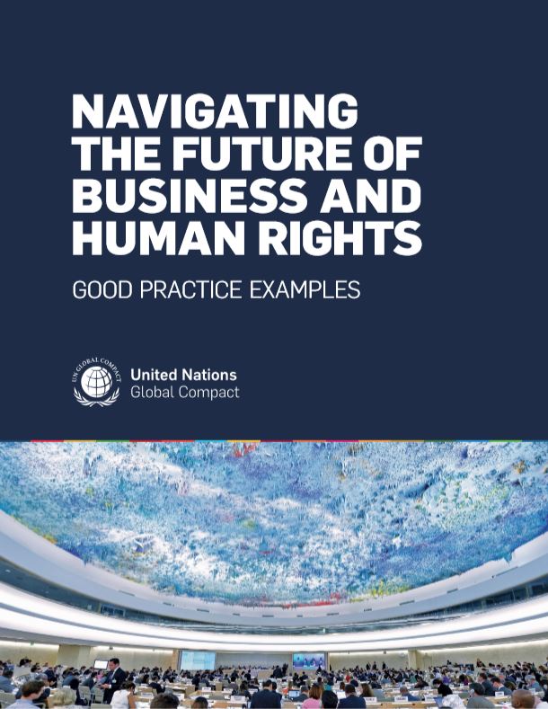 Neue Publikation: Navigating the Future of Business and Human Rights