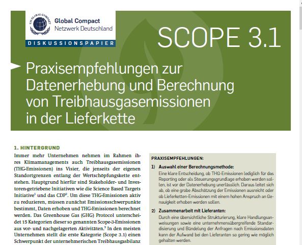 Diskussionspapier 3.1 - Praxisempfehlungen zur Datenerhebung und Berechnung von THG-Emissionen aus bezogenen Gütern und Dienstleistungen